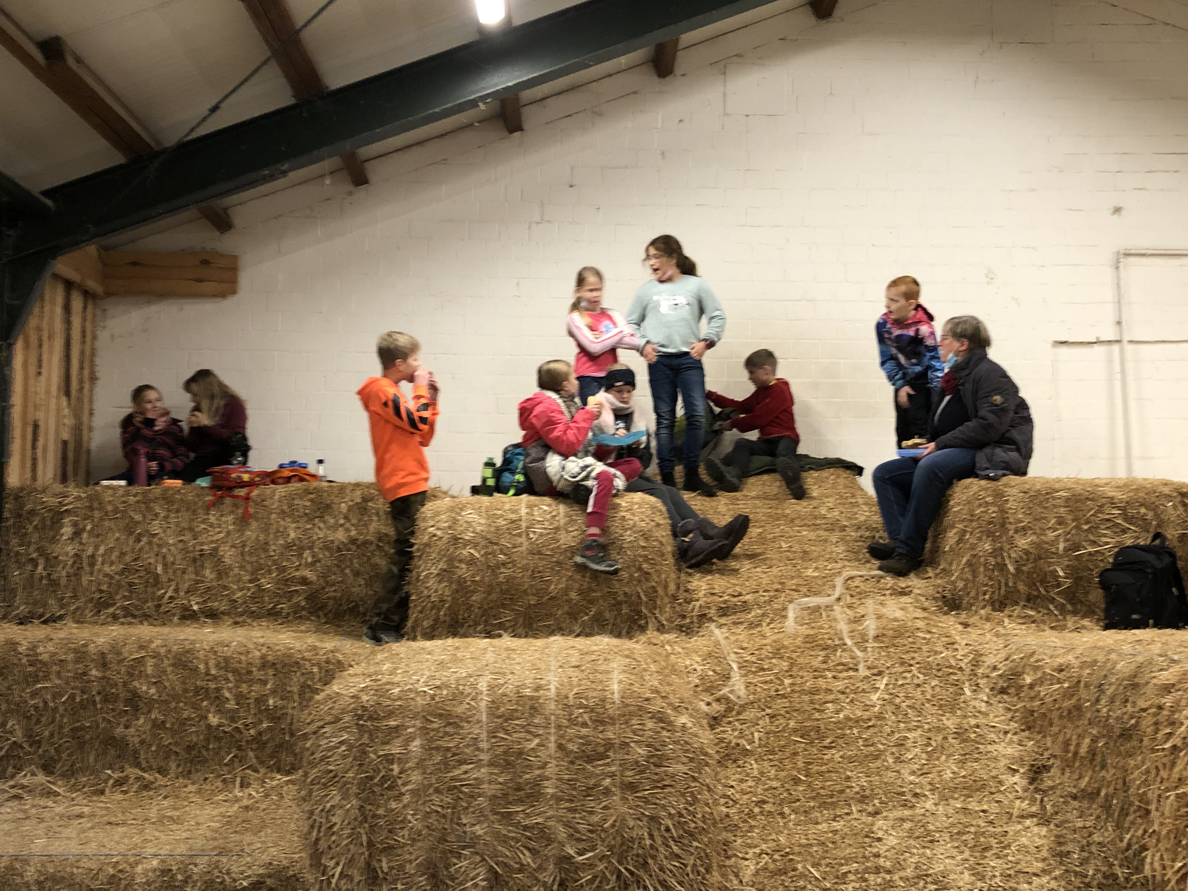 B2A70D99 BA54 4F6C 84F0 205125CD154E