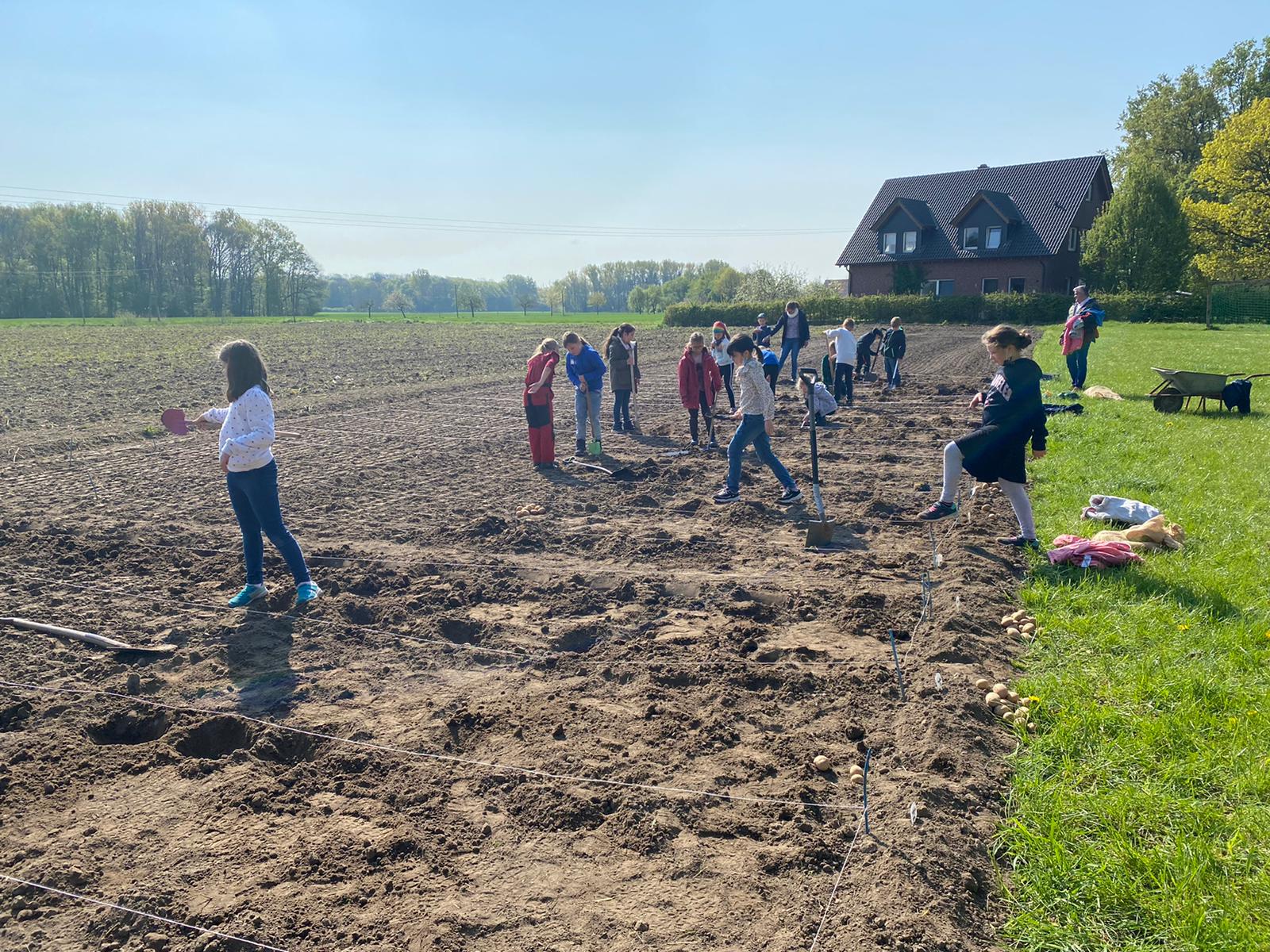 0E31062E A595 4B79 B008 073EF0395957