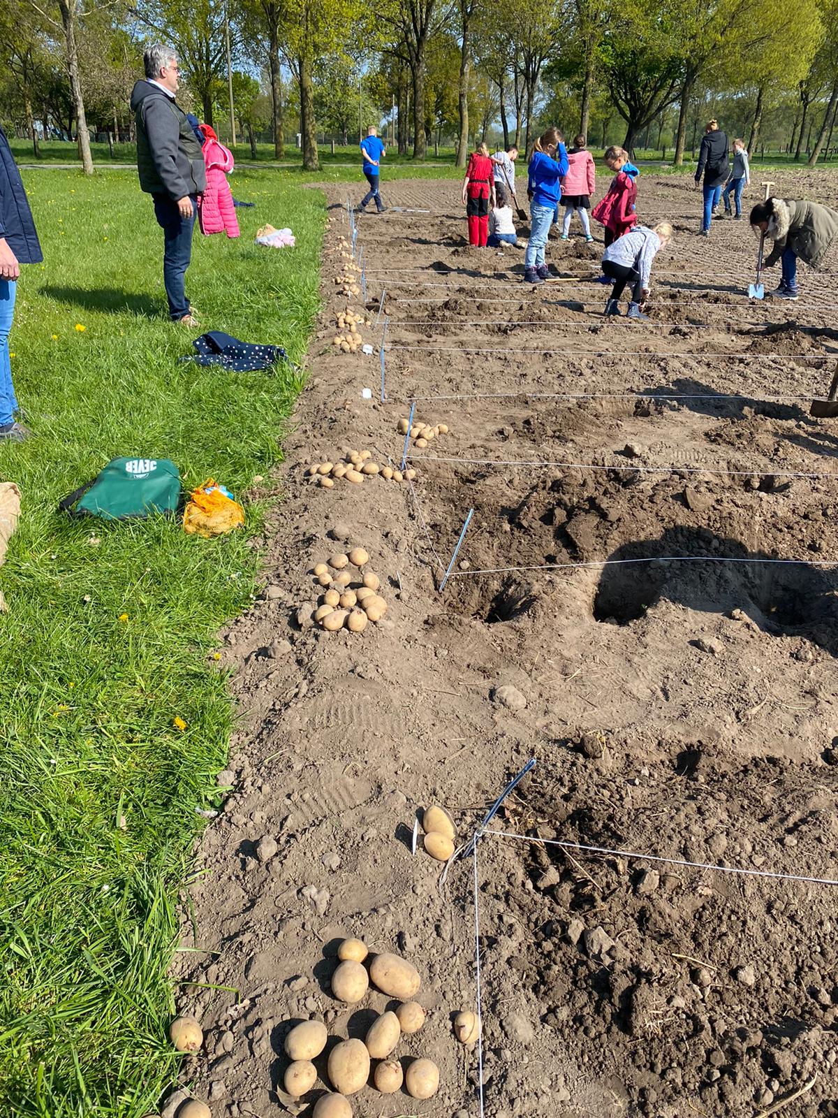 41F0376F 4435 4C35 817C 015C6580948D