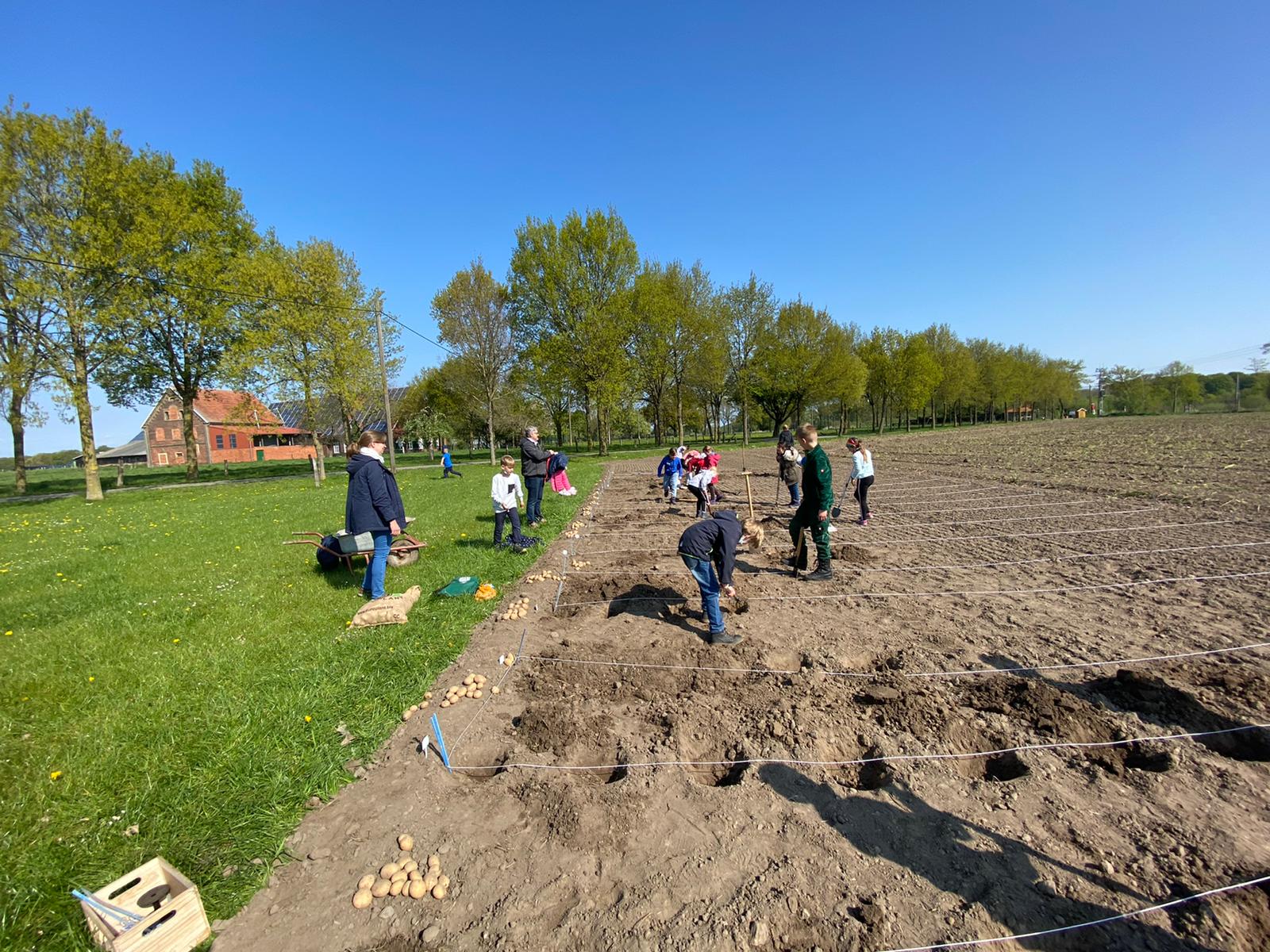 A3D7FF1D 31D2 4DF4 B2A7 E71DEFF7495F