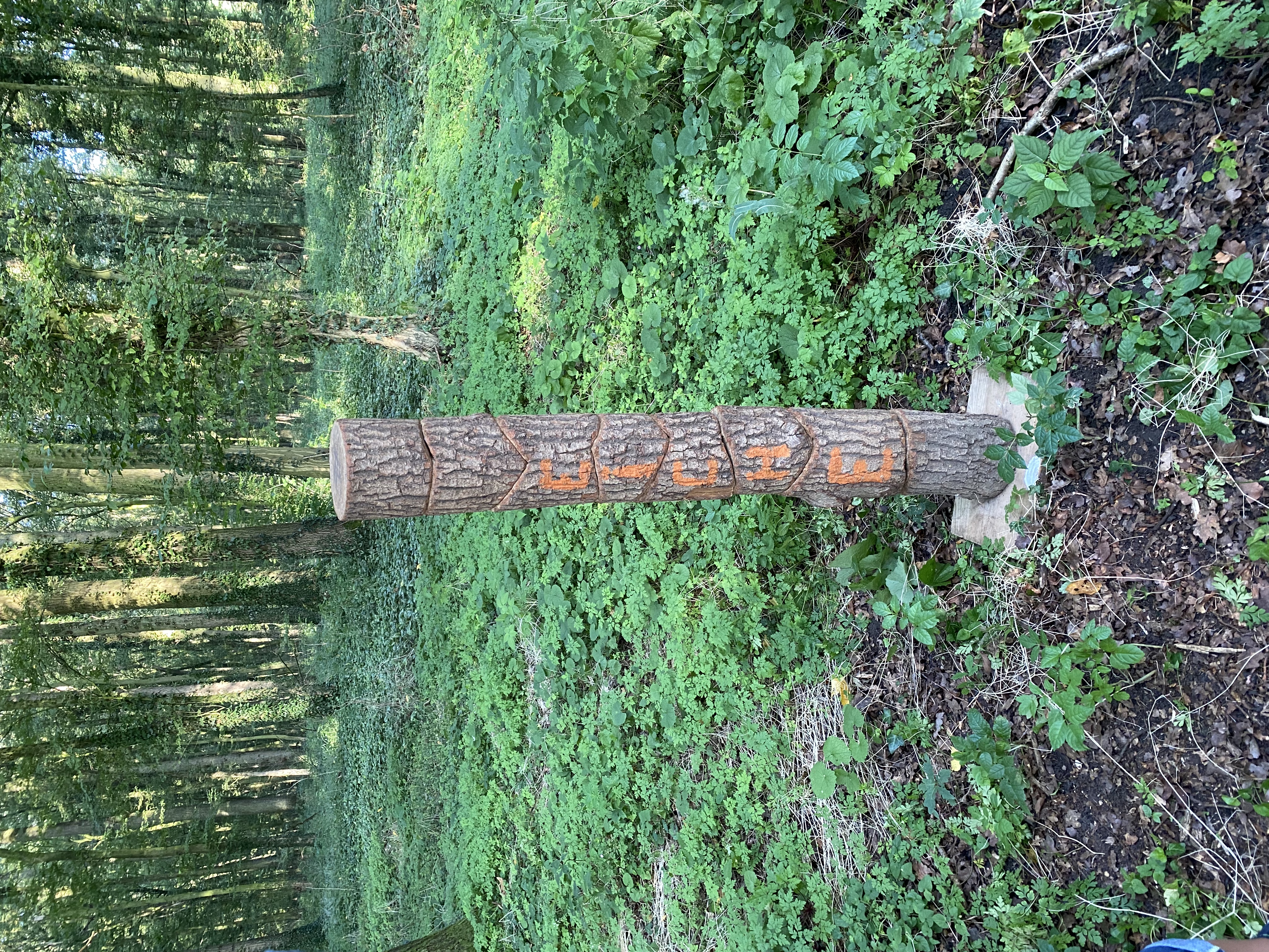 59C898EE 0864 45A1 AD2F AF3034CDE311