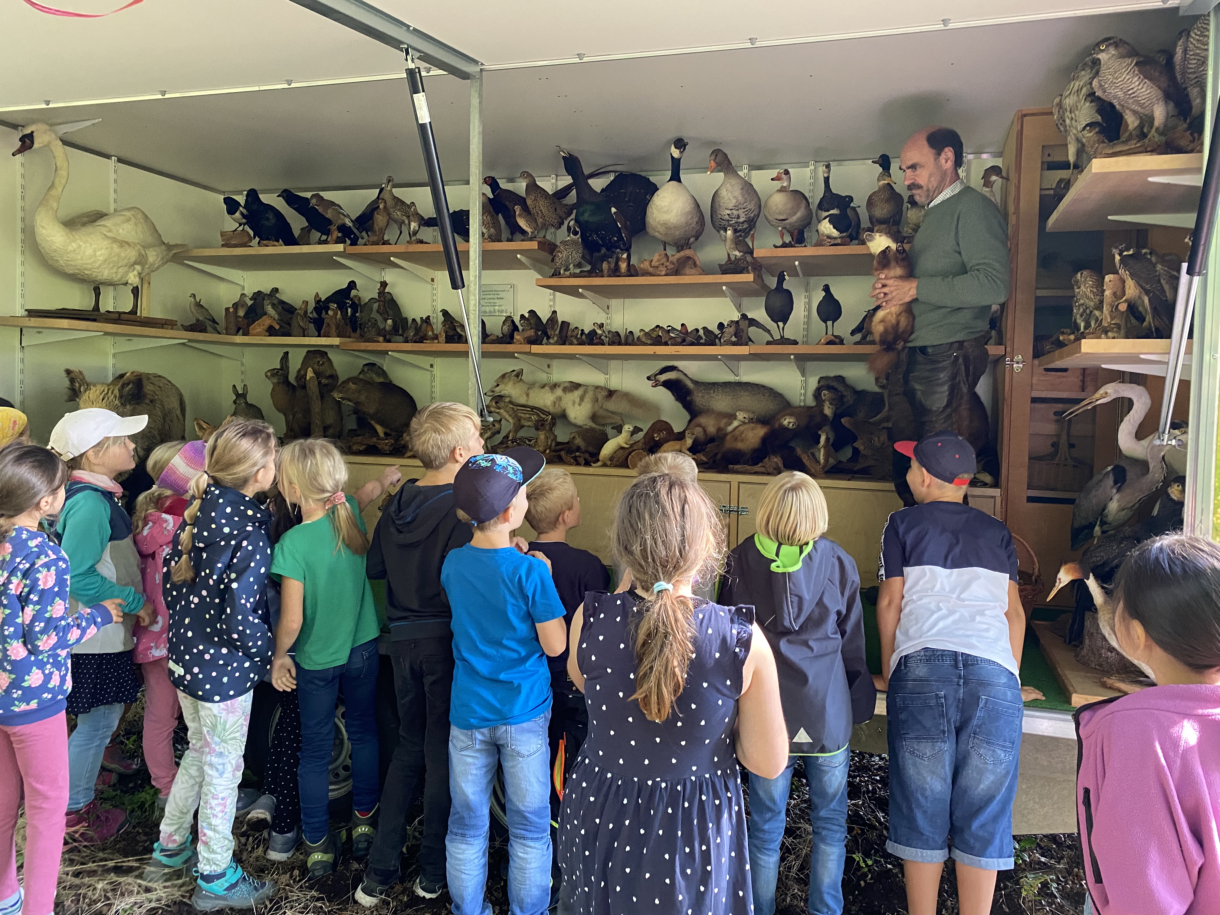 81D2F991 F129 4EEF BB96 DAF3BD8A828E